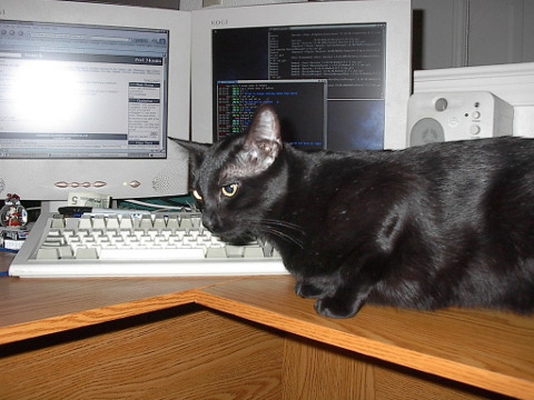 My old Debian desktop from around 2003