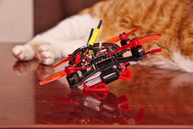 Leader 120 Micro FPV Quad and My Cat, Rascal