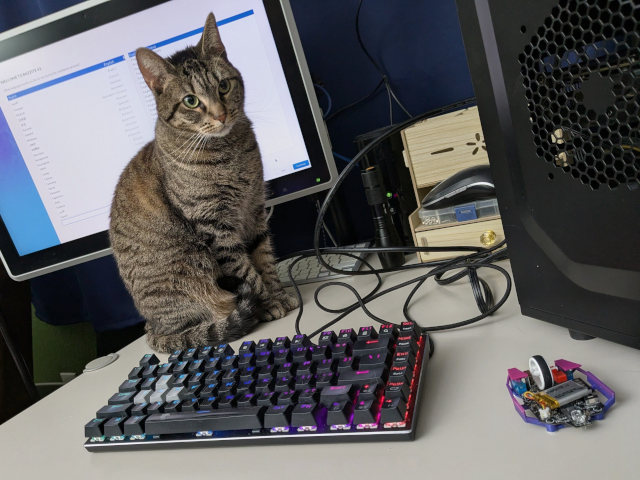 Litte Trudy Judy helps setting up the RX 580