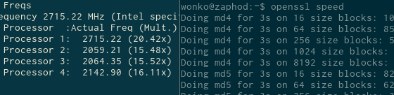 i7z and openssl benchmark running correctly