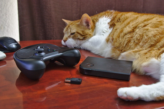 The Steam Link, Steam Controller, and Rascal Pants