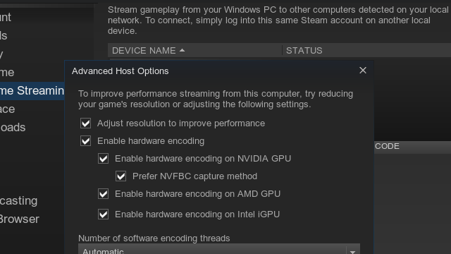 Steam In-Home Streaming Settings